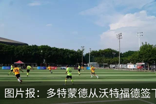 图片报：多特蒙德从沃特福德签下了一位草坪管理专家