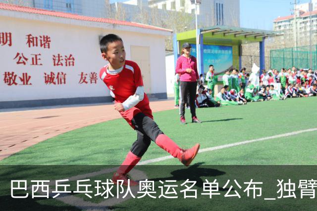 巴西乒乓球队奥运名单公布 独臂女将出战两个奥运