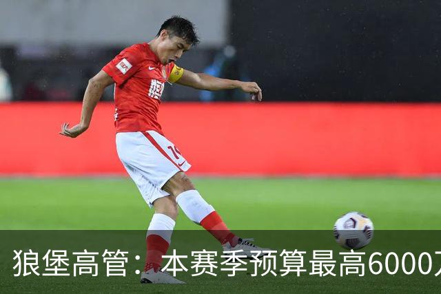 狼堡高管：本赛季预算最高6000万欧，力争完成在德乙的目标