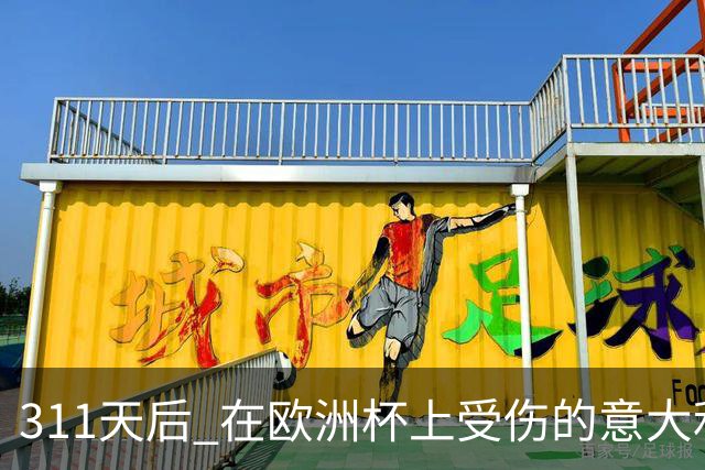 311天后 在欧洲杯上受伤的意大利国脚终于复出了